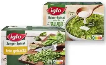 Scheck-in-Center Iglo Junger Spinat Angebot