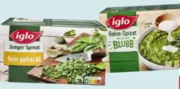 Edeka Iglo Junger Spinat Angebot