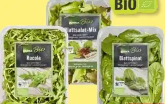 Edeka Edeka Bio Rucola Angebot