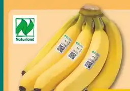 REWE Center Rewe Bio Bio-Bananen Angebot