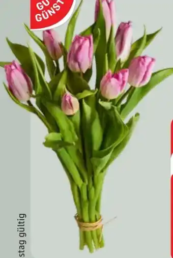 Edeka Gut & Günstig Tulpenstrauß Angebot