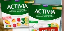 nahkauf Danone Activia Joghurt Angebot