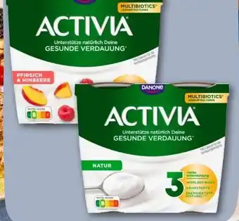 REWE Center Danone Activia Joghurt Angebot