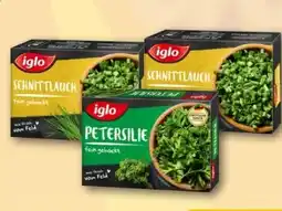 REWE Center Iglo Petersilie Angebot