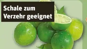 REWE Center Rewe Bio Limetten Angebot