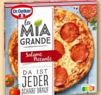 REWE Center Dr. Oetker La Mia Grande Salame Piccante Angebot