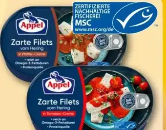 REWE Center Appel Hering Zarte Filets vom Angebot