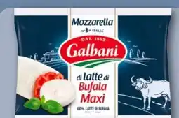 REWE Center Galbani Mozzarella di Bufala Maxi Angebot