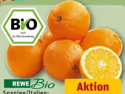 REWE Rewe Bio Orangen Angebot