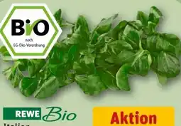 REWE Rewe Bio Feldsalat Angebot