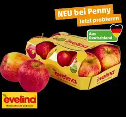 PENNY Evelina Äpfel Angebot