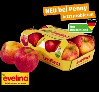 PENNY Evelina Äpfel Angebot