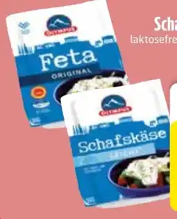 Edeka Olympus Dairy Schafskäse Angebot