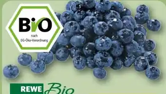 REWE Rewe Bio Heidelbeeren Angebot