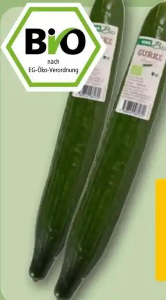 REWE Rewe Bio Bio-Salatgurke Angebot