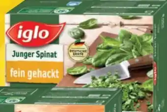 EDEKA Bandelt Iglo Spinat Angebot