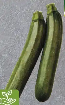 Edeka Edeka Bio Zucchini Angebot