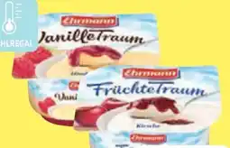 Edeka Ehrmann Früchtetraum Angebot