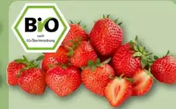 REWE Center Rewe Bio Bio-Erdbeeren Angebot