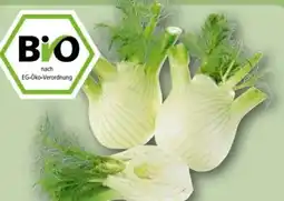 REWE Center Rewe Bio Bio-Fenchel Angebot