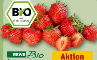 REWE Rewe Bio Bio-Erdbeeren Angebot