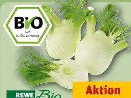 REWE Rewe Bio Bio-Fenchel Angebot