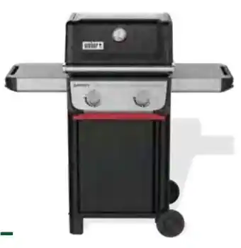 Pflanzen Kölle Weber Gasgrill Spirit II E-210 Angebot