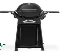 Pflanzen Kölle Weber Gasgril Q3200N+ Angebot