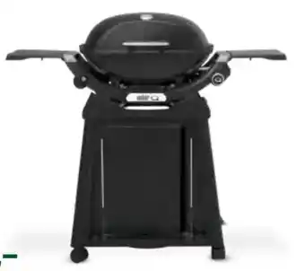 Pflanzen Kölle Weber Gasgrill Q2200N Angebot