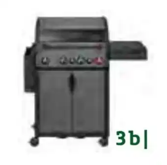 Pflanzen Kölle Enders Gasgrill Hyde 4 Sikr Turbo Angebot