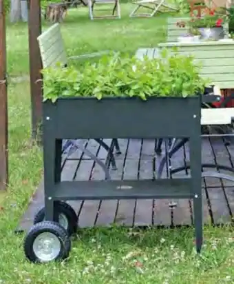 Pflanzen Kölle Urban Garden Trolly Angebot