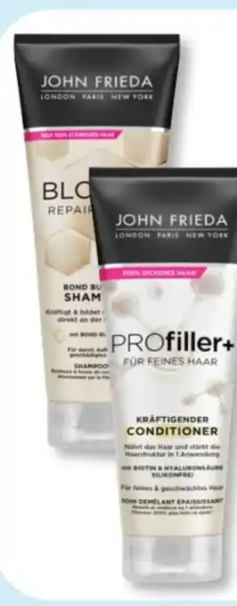 Budni John Frieda Blonde+ Shampoo Angebot