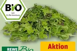 REWE Rewe Bio Crispy Salatmix Angebot