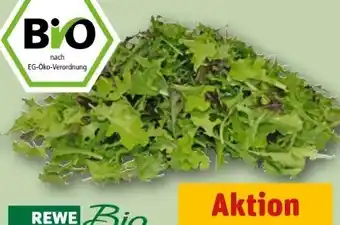 REWE Rewe Bio Crispy Salatmix Angebot