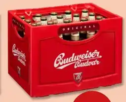 PENNY Budweiser Budvar (CZ) Original Czech Lager Bier Angebot