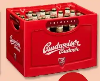 PENNY Budweiser Budvar (CZ) Original Czech Lager Bier Angebot