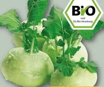 REWE Rewe Bio Kohlrabi Angebot