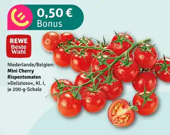 nahkauf Rewe beste wahl 0,50 € bonus Angebot