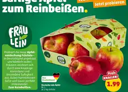 PENNY Fräulein deutsche rote äpfel Angebot