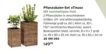 Tchibo Pflanzsäulen-set tinus Angebot