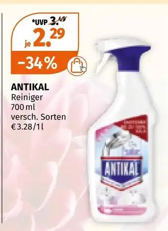 Müller Antikal Angebot