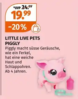 Müller Little live pets piggly Angebot