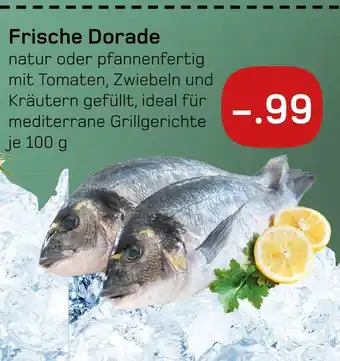 akzenta Frische dorade Angebot