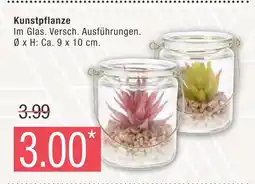 Marktkauf Kunstpflanze Angebot