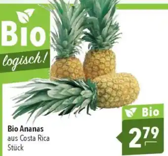 CITTI Markt Bio Ananas Angebot