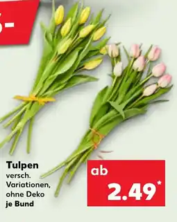 Kaufland Tulpen Angebot