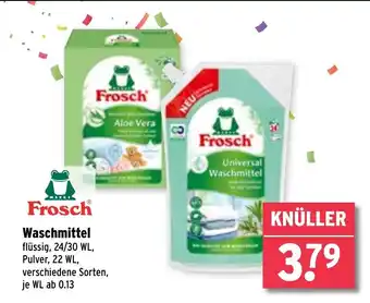 Wasgau Frosch Waschmittel Angebot