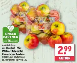 Wasgau Pfälzer Tafeläpfel Angebot