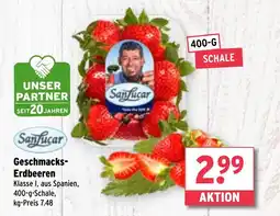 Wasgau SanLucar Geschmacks- Erdbeeren Angebot