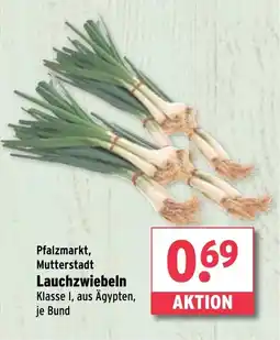 Wasgau Lauchzwiebeln Angebot